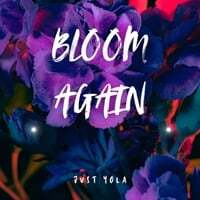 Bloom Again